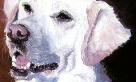 LABRADOR BLANC  . huile couteau