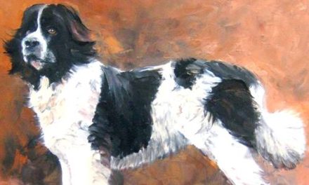 LANDSEER  . huile couteau