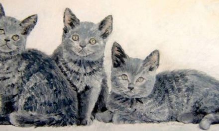 LES 3 CHARTREUX . huile couteau