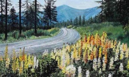 LUPINS EN FORÊT . gouache