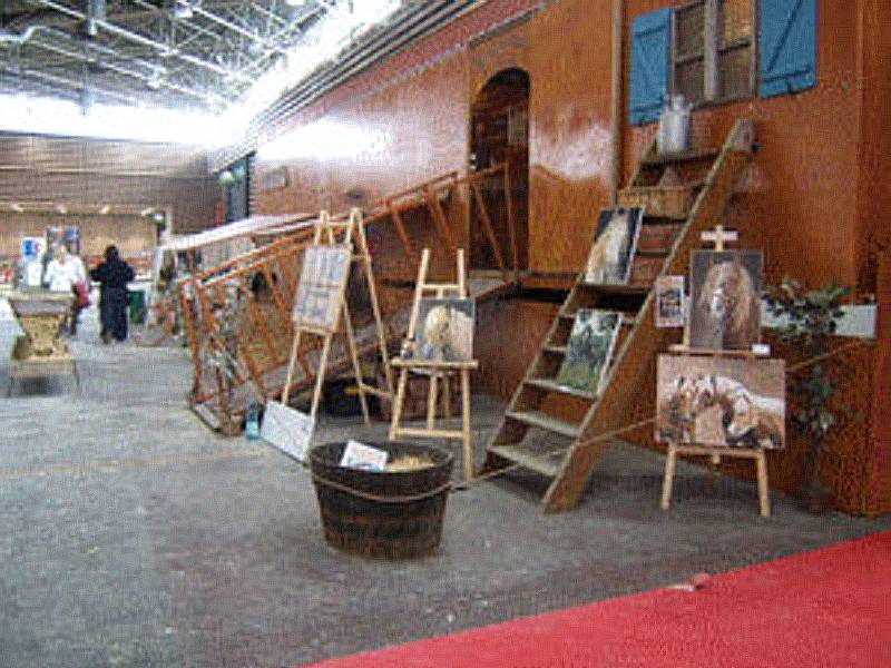 Salon du cheval & du poney LYON EUREXPO . 12ème Edition (photo)