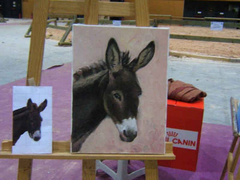 Salon du cheval & du poney LYON EUREXPO . 13ème Edition (photo)