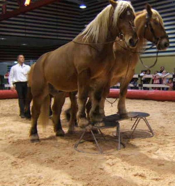 LYON EUREXPO (photo)