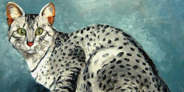 MAU EGYPTIEN . huile couteau