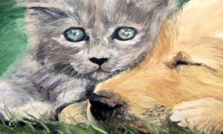 MIGNONS . huile couteau