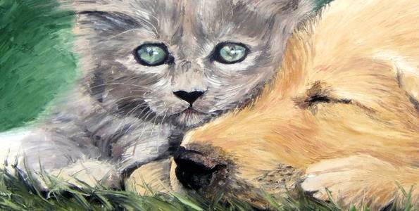 MIGNONS . huile couteau