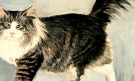 NORVEGIEN . huile couteau