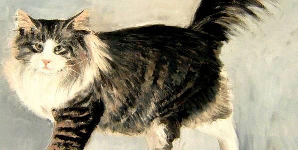 NORVEGIEN . huile couteau