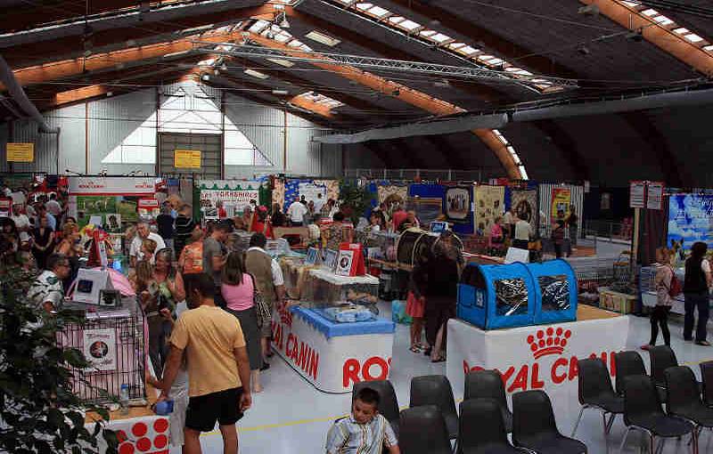 Salon animalier PALAVAS LES FLOTS . 8ème Edition (photo)