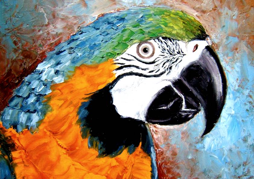 PERROQUET (peinture)