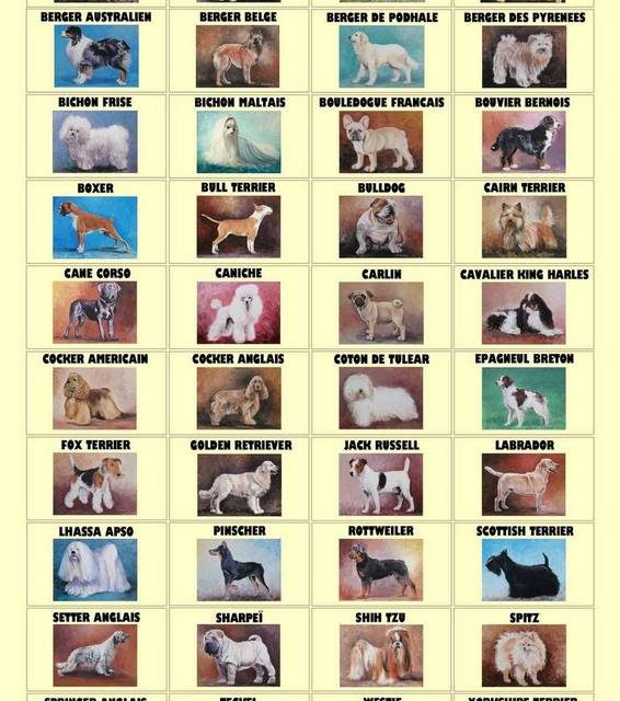 QUIZ panneau "qui suis-je ?"