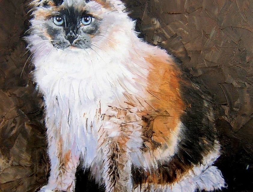 RAGDOLL (peinture)