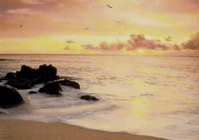 RIVAGES INCONNUS (original)