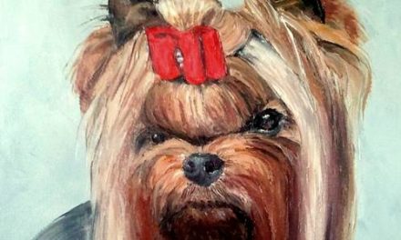 ROYAL KAMIKADZE . huile couteau