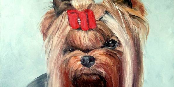 ROYAL KAMIKADZE . huile couteau