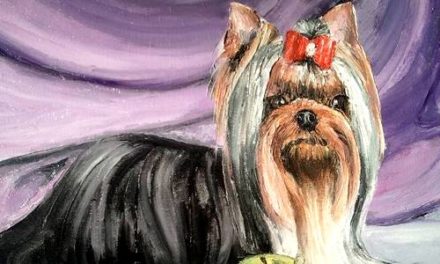 ROYAL KAMIKADZE . huile couteau