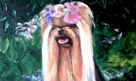 ROYAL KAMIKADZE . huile couteau