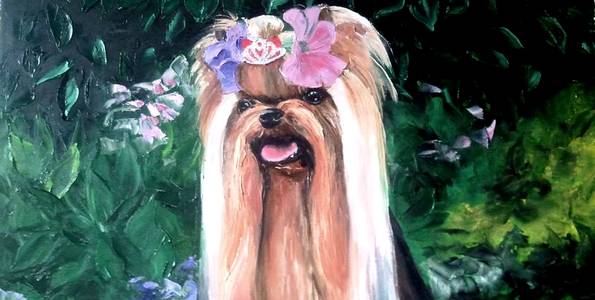 ROYAL KAMIKADZE . huile couteau