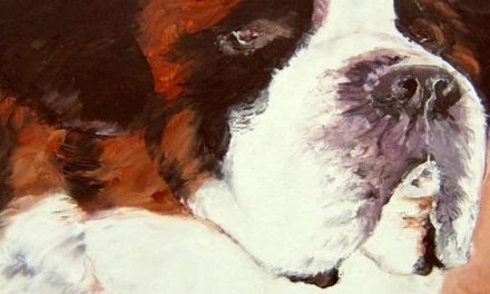 SAINT BERNARD . huile couteau