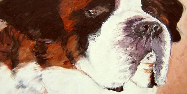 SAINT BERNARD . huile couteau