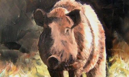 SANGLIER . huile couteau