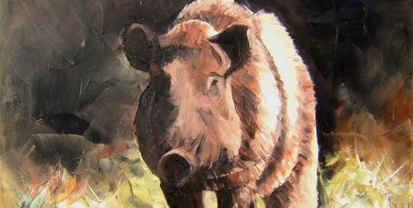 SANGLIER . huile couteau