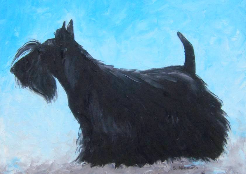SCOTTISH TERRIER (peinture)