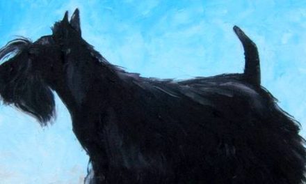 SCOTTISH TERRIER . huile couteau