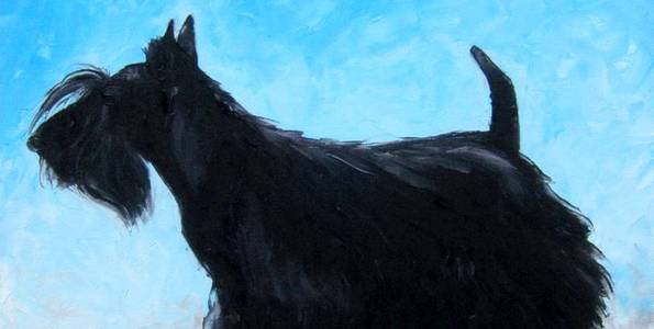 SCOTTISH TERRIER . huile couteau