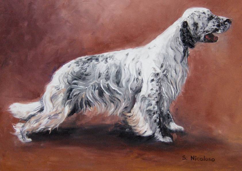 SETTER ANGLAIS (peinture)