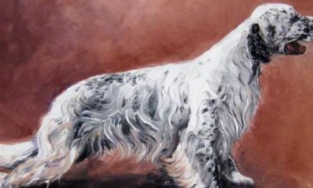 SETTER ANGLAIS . huile couteau