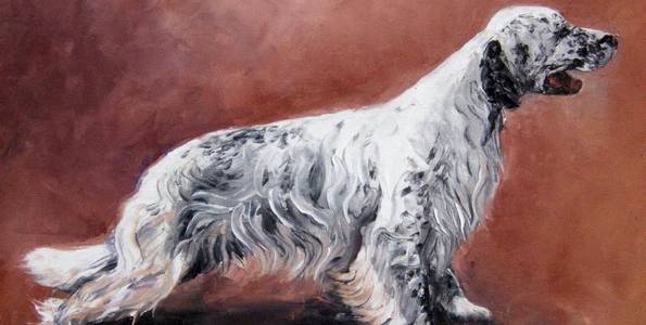 SETTER ANGLAIS . huile couteau