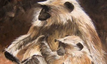 SINGES . huile couteau