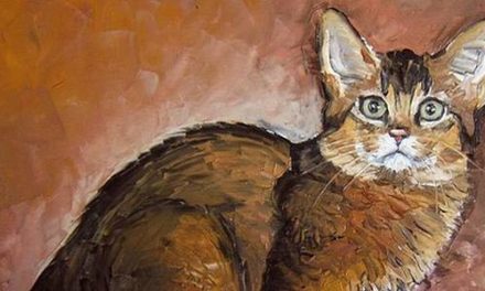 SOMALI . huile couteau