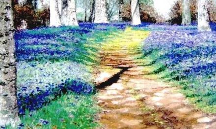 SOUS BOIS . huile couteau