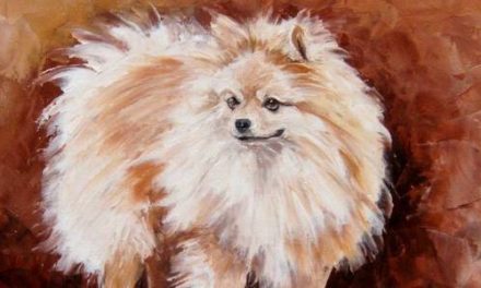 SPITZ . huile couteau