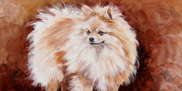 SPITZ . huile couteau