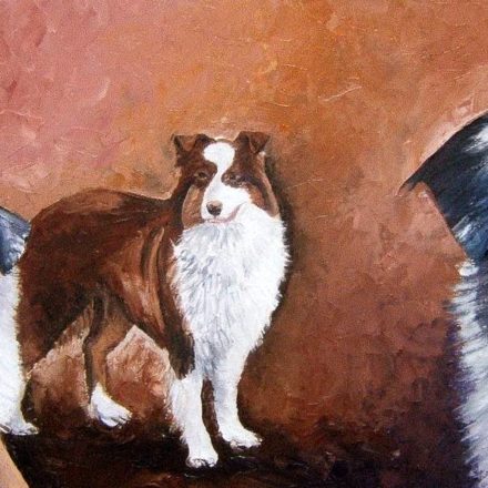 Berger Australien (peinture)