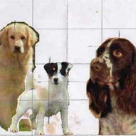 Chiens de chasse (montage)