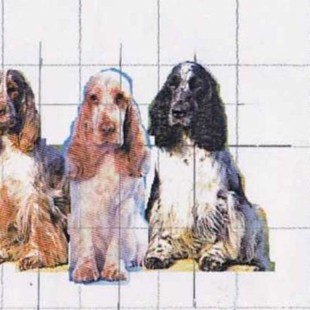 Cocker Anglais (peinture)