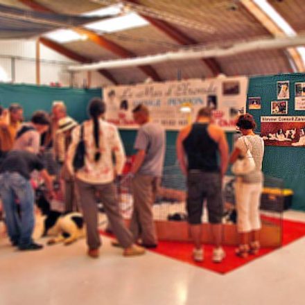 Landseer (décoration)