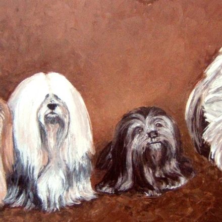 Lhassa Apso (peinture)