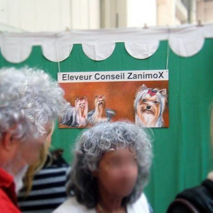 Yorkshire Terrier (décoration)