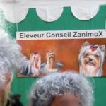 Presse . DECORATIONS Stands Eleveurs