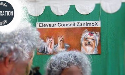 Presse . DECORATIONS Stands Eleveurs