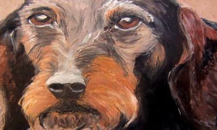 TECKEL . huile couteau