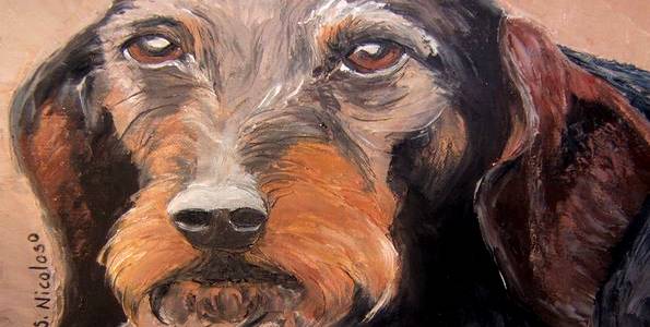 TECKEL . huile couteau