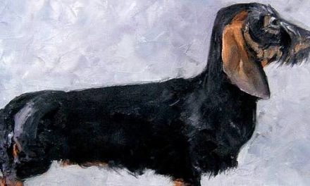 TECKEL . huile couteau