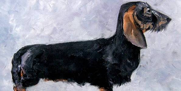 TECKEL . huile couteau