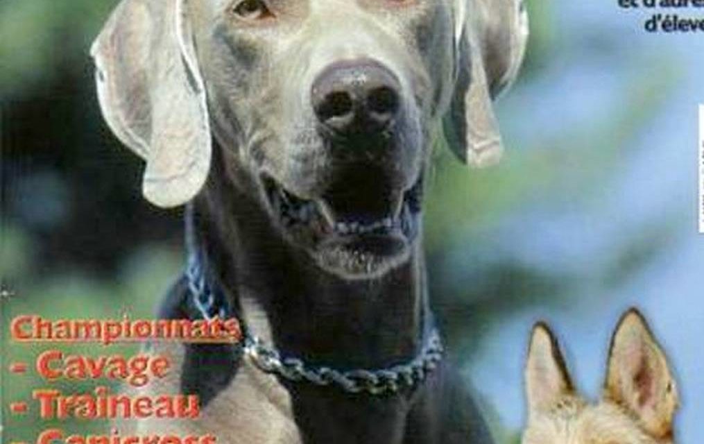 VOS CHIENS MAGAZINE (couverture)